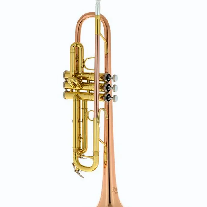 La trompette Bach TR-351G Bb-Trumpet : Avis, Test & Comparatif