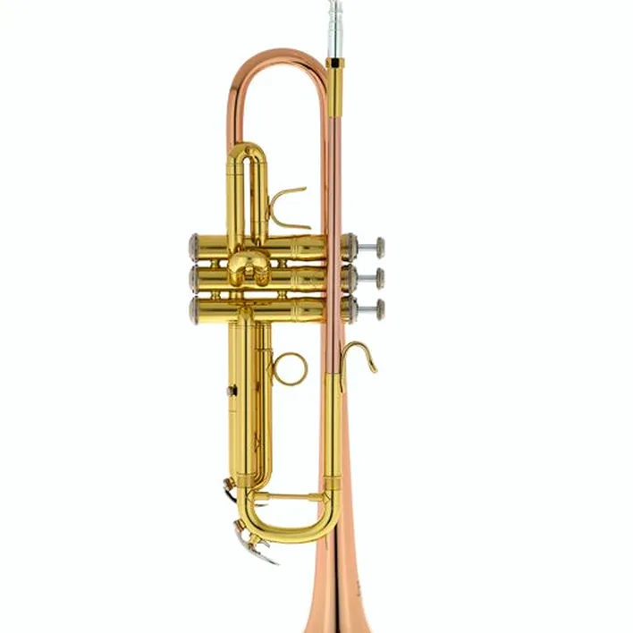 La trompette Bach TR-351G Bb-Trumpet : Avis, Test & Comparatif