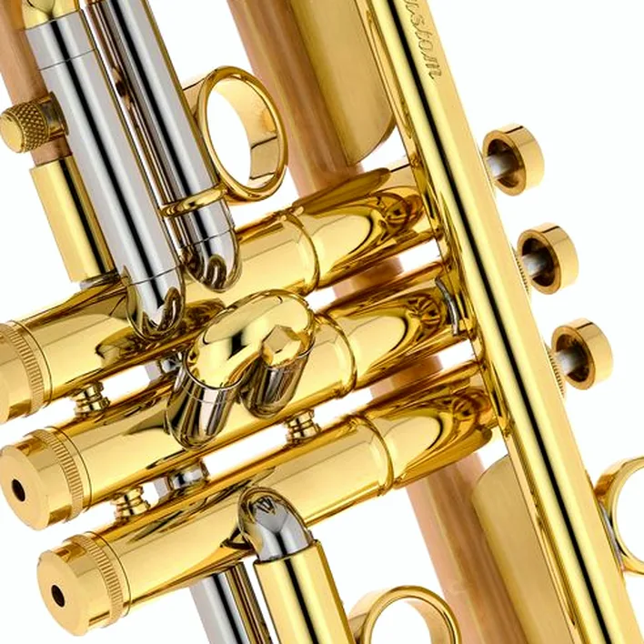 La trompette Taylor Trumpets Chicago Custom Bb-Trumpet – Avis et Test