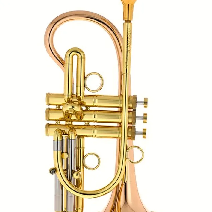 La trompette Taylor Trumpets Orpheus Bb-Cornet Avis, Test & Comparatif