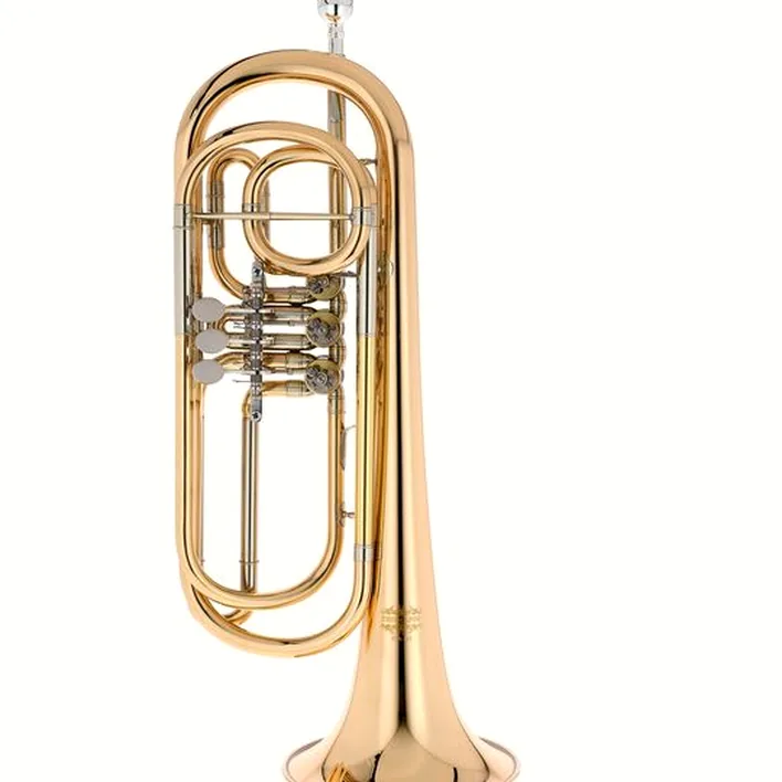 La trompette Thomann BTR-115 Bb-Bass Trumpet Test, Avis & Comparatif