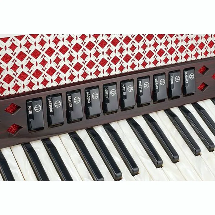 L’accordéon de référence Thomann Alpin IV 72 MH : Test et Avis