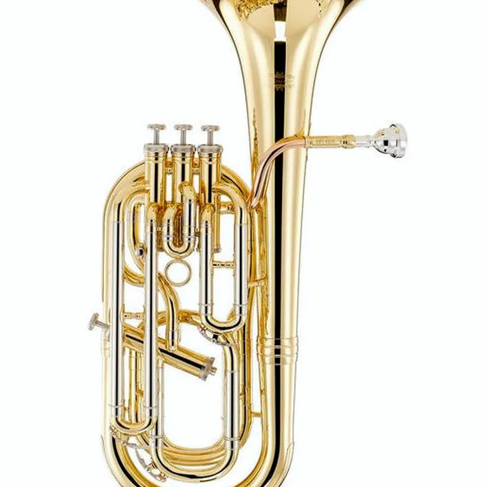 Le baryton/alto Thomann BR 604 Baritone Horn Avis et Test