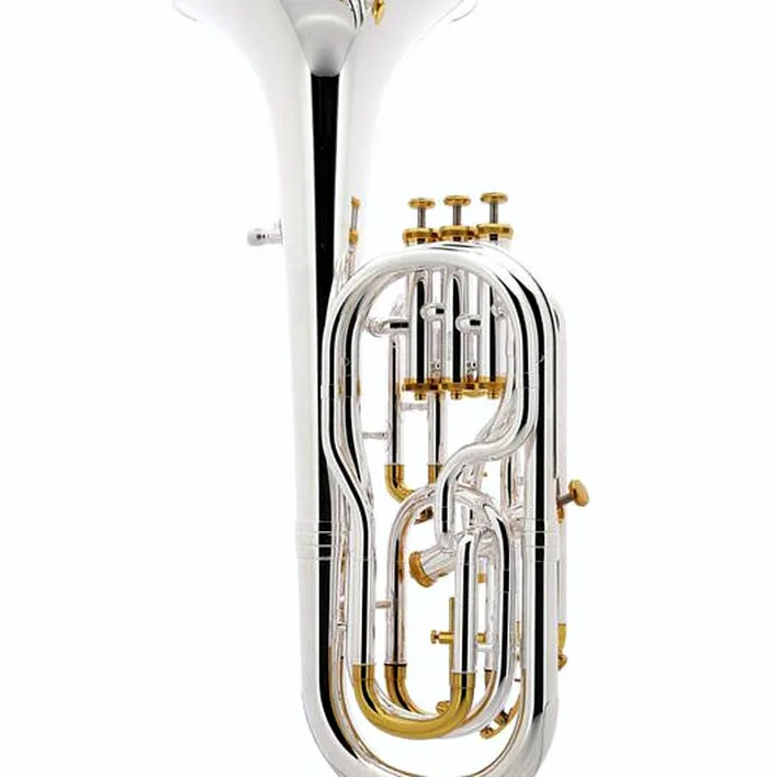 Le baryton/alto Thomann BR 801GP+ Superior Baritone , Comparatif, Test et Avis