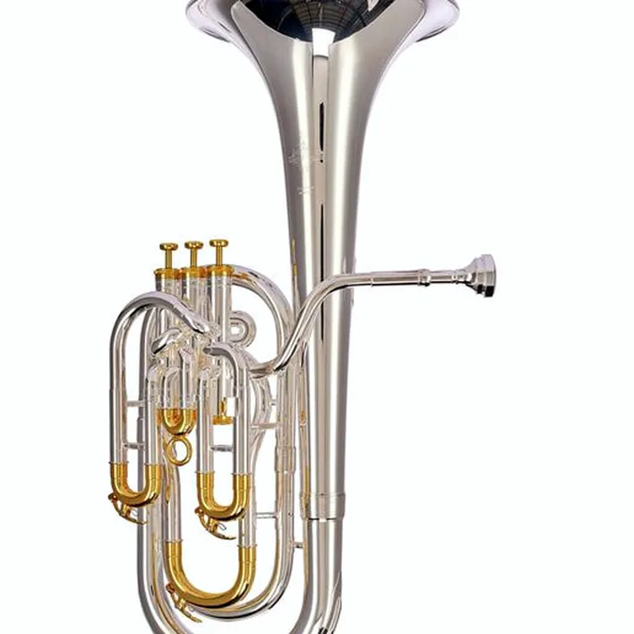 Le baryton/alto Thomann BR-802GP Baritone Horn Comparatif, Test, Avis
