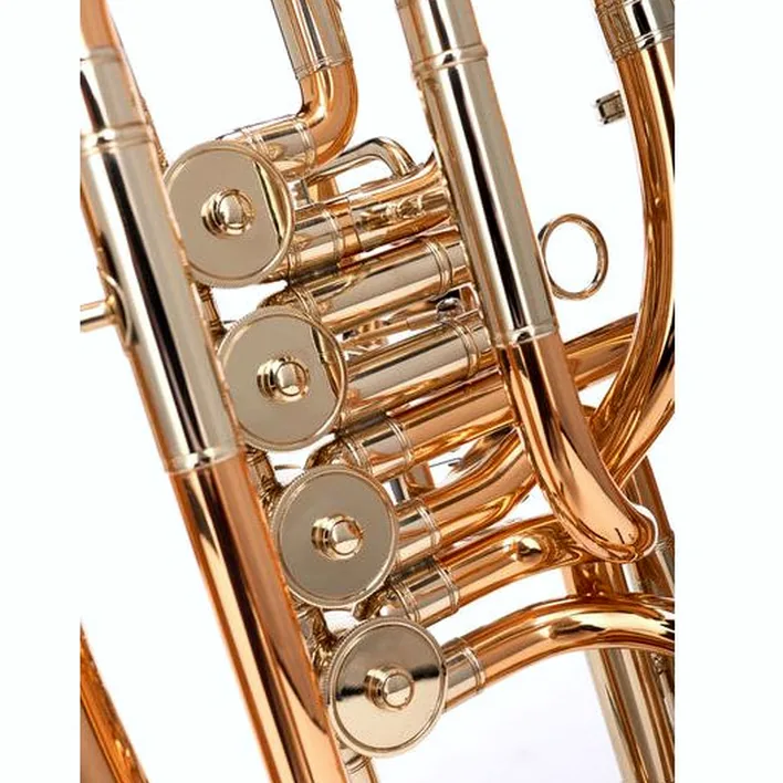 Le baryton Wagnérien Cerveny CEP 731-4R Baritone – Test, Avis, Comparatif