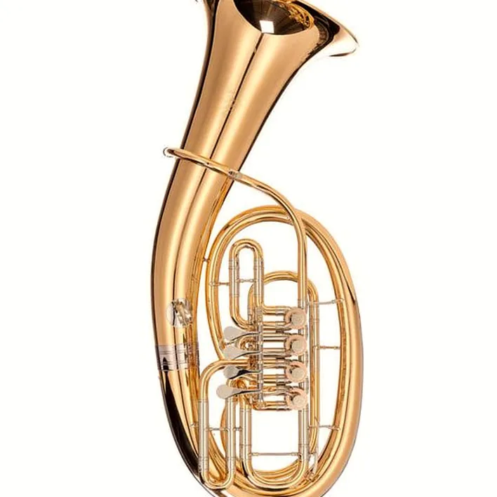 Le baryton Wagnérien Peter Oberrauch Machlast Baritone , Comparatif, Avis, Test