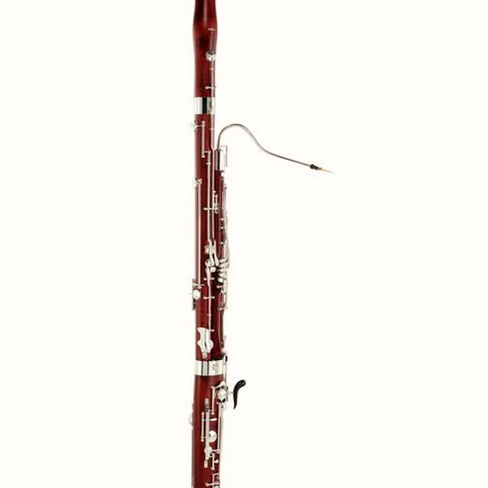 Le basson Amati ABN 41 IV Bassoon / Avis, Comparatif et Test
