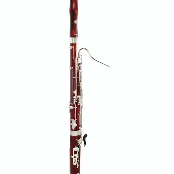 Le basson Schreiber WS5010-2-0GB Bassoon Comparatif, Test & Avis