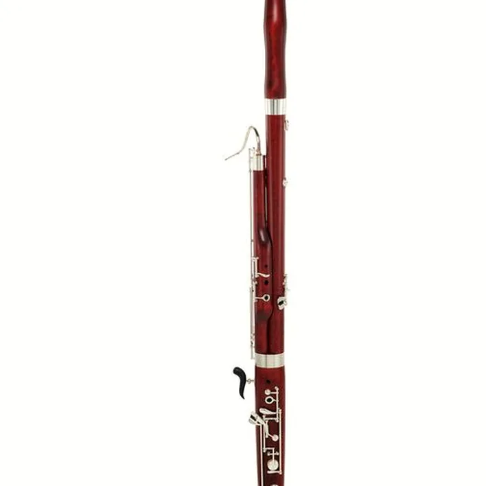 Le basson Schreiber WS5010-2-0GB Bassoon Comparatif, Test & Avis