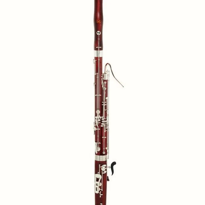 Le basson Schreiber WS5010-2-0GB Bassoon Comparatif, Test & Avis