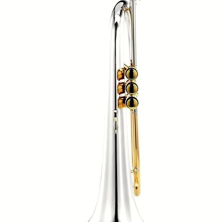 Avis, Test du bugle Adams F1 SS Custom 045 150 L
