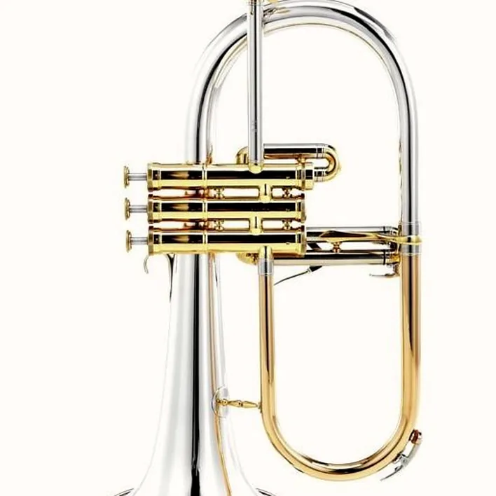 Avis, Test du bugle Adams F1 SS Custom 045 150 L