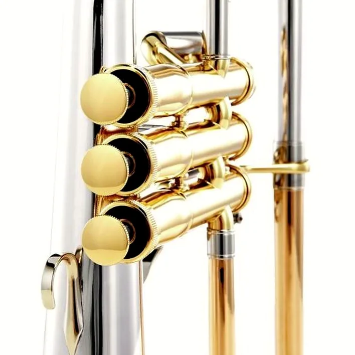 Avis, Test du bugle Adams F1 SS Custom 045 150 L