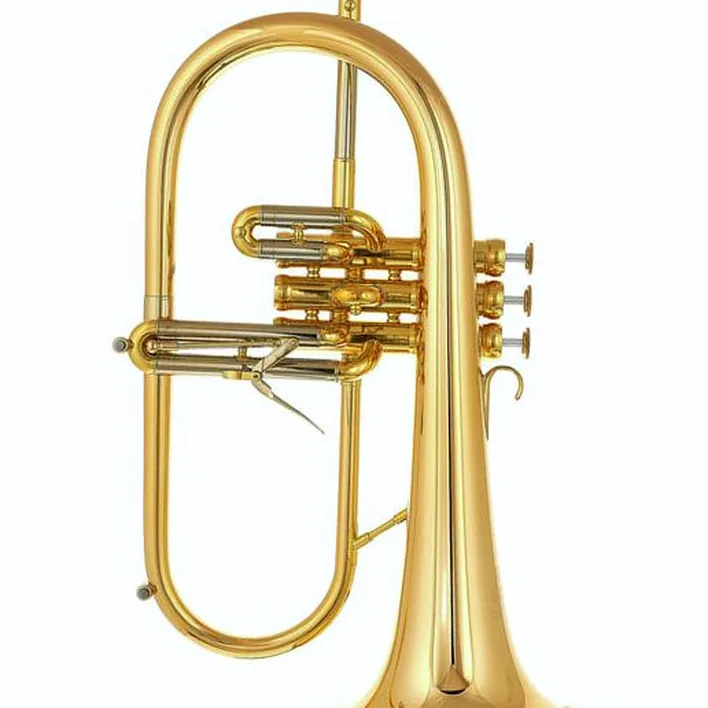 Test, Avis du bugle Adams Sonic Flugel Horn