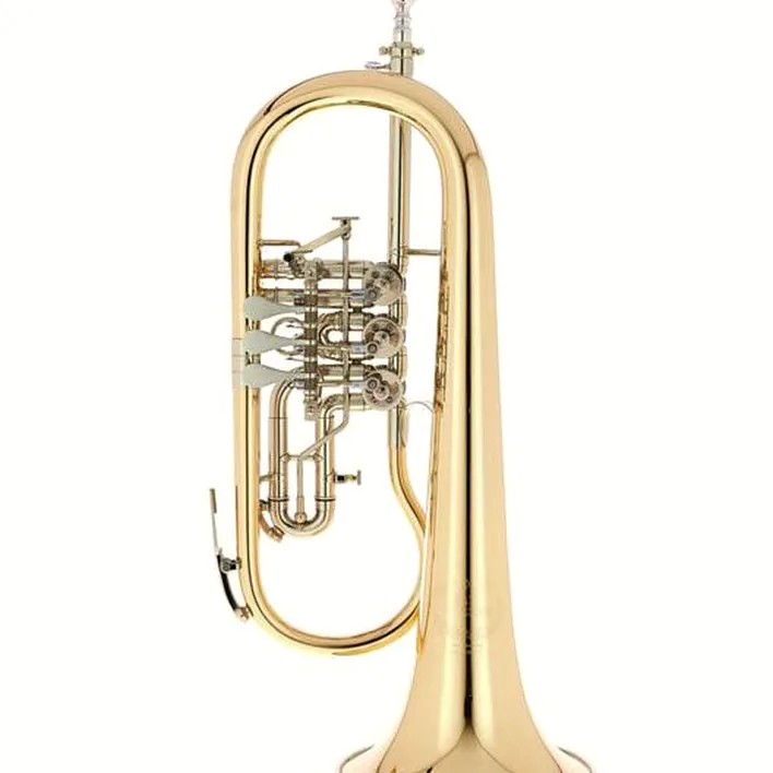 Bugle B&S 3017/2TR-L Bb Flugelhorn Comparatif, Test, Avis