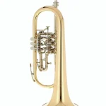 Bugle B&S 3017/2TR-L Bb Flugelhorn Comparatif, Test, Avis