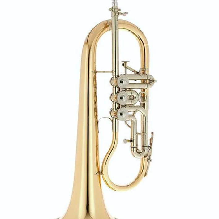Bugle B&S 3017/2TR-L Bb Flugelhorn Comparatif, Test, Avis