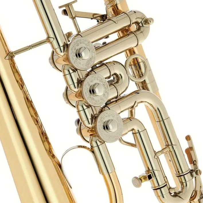 Bugle B&S 3017/2TR-L Bb Flugelhorn Comparatif, Test, Avis