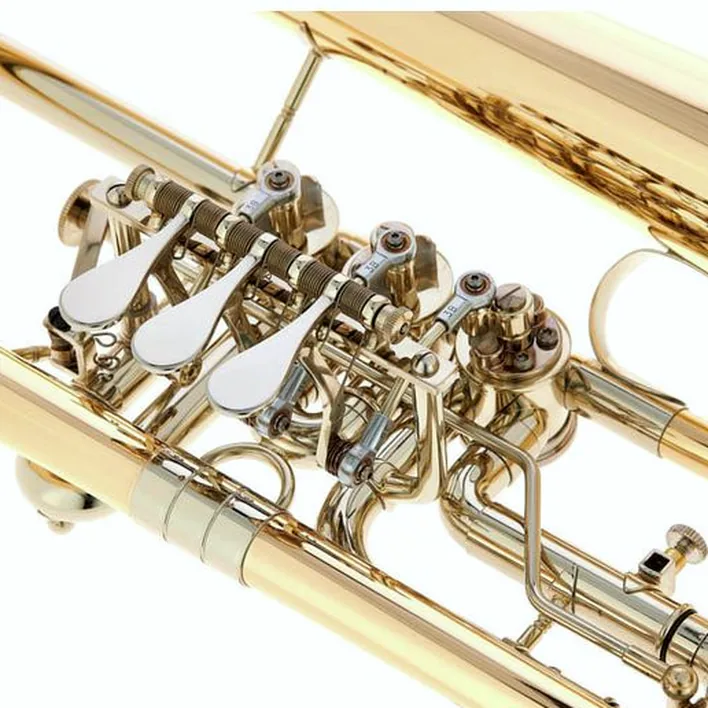 Bugle B&S 3017/2TR-L Bb Flugelhorn Comparatif, Test, Avis
