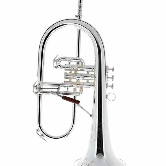 Bugle C.G.Conn 1FR-SP Vintage One Flugelhorn – Test, Avis, Comparatif