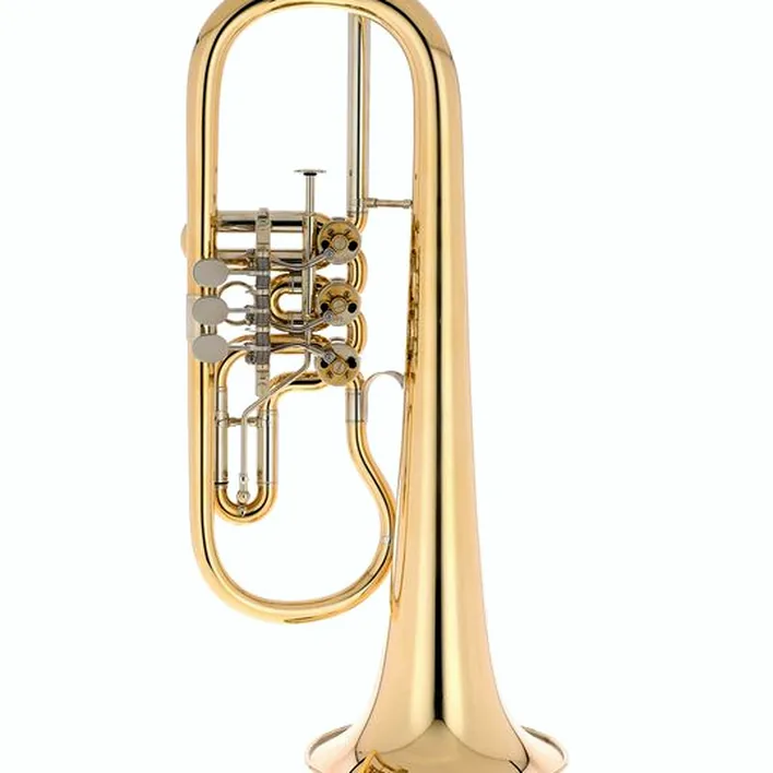 Avis et Test : Gerd Dowids BZ-Series Bb-Flugelh. G88 raw