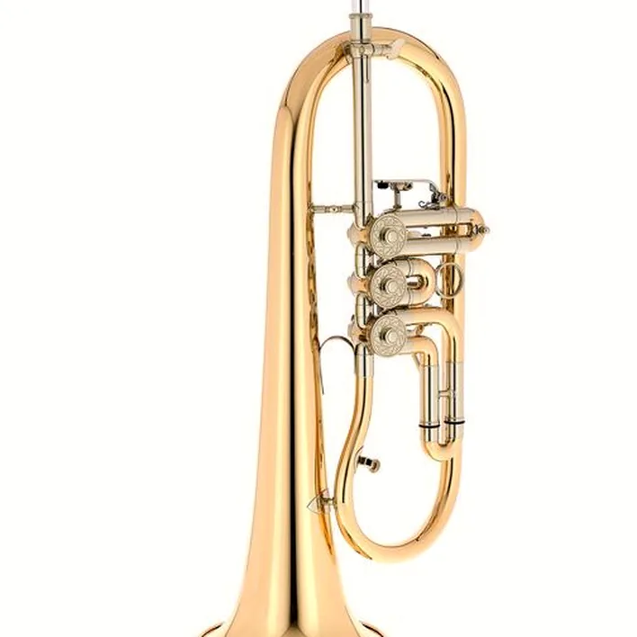 Le bugle Josef Lidl Bb-Flugelhorn LFH 733G / Test, Comparatif et Avis