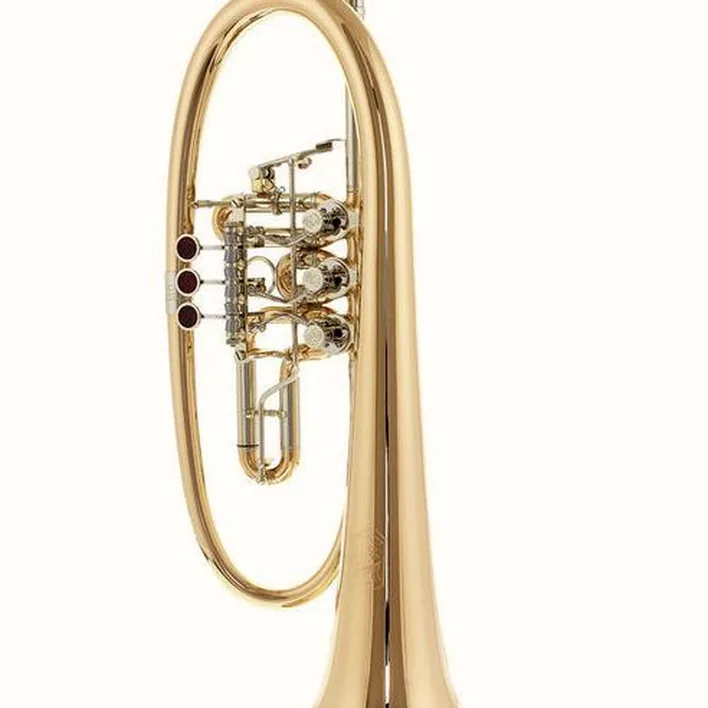 Bugle Krinner Prinzessin Flugelhorn L / Test & Avis