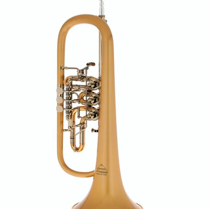 Le bugle Miraphone 24R 1100 A100 G010 Flugelhorn Avis, Test