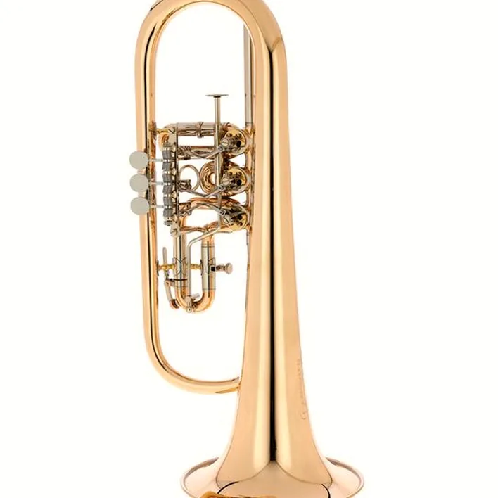 Le bugle Peter Oberrauch Rosengarten Flgh 10,95 L : Avis, Test, Comparatif