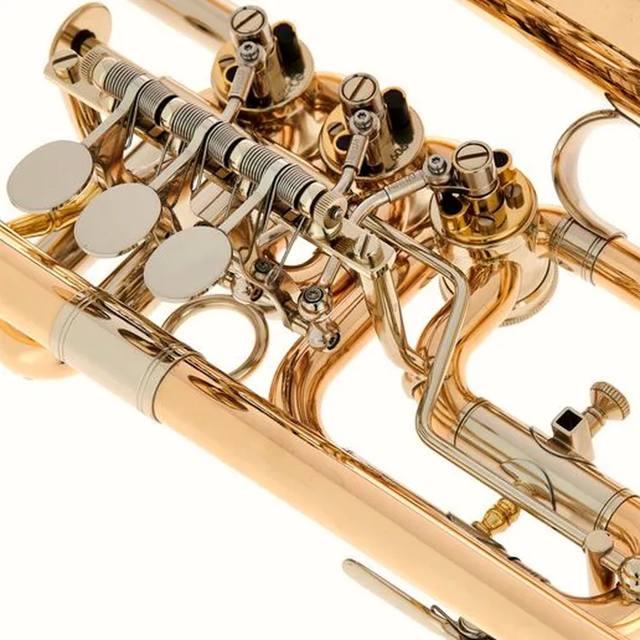 Le bugle Peter Oberrauch Rosengarten Flgh 10,95 L : Avis, Test, Comparatif