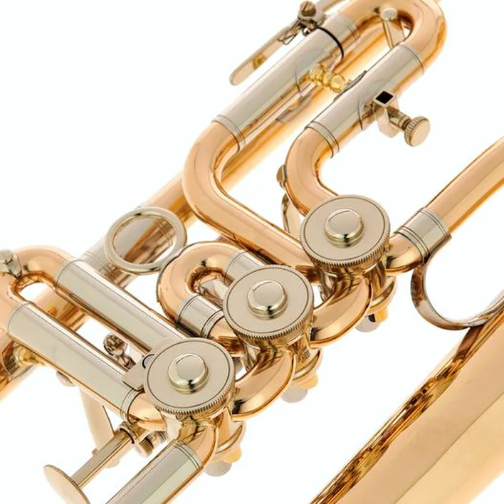 Le bugle Peter Oberrauch Rosengarten Flgh 10,95 L : Avis, Test, Comparatif