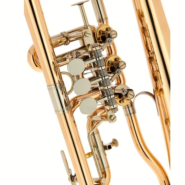 Le bugle Peter Oberrauch Rosengarten Flgh 10,95 L : Avis, Test, Comparatif