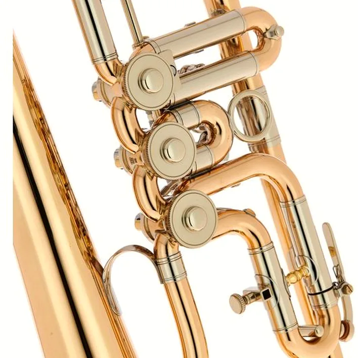 Le bugle Peter Oberrauch Rosengarten Flgh 10,95 L : Avis, Test, Comparatif