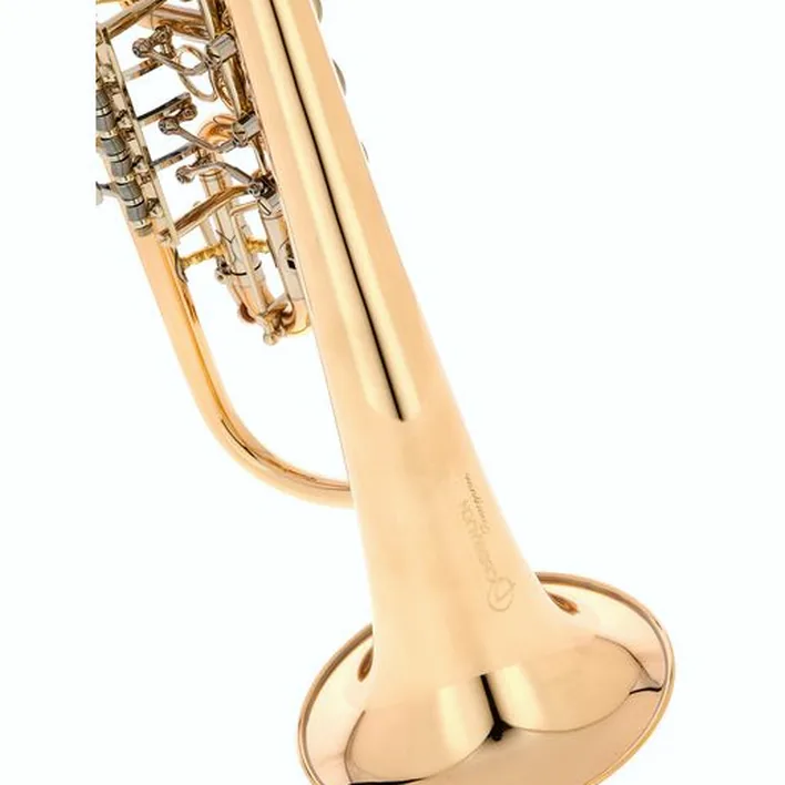 Le bugle Peter Oberrauch Rosengarten Flgh 10,95 L : Avis, Test, Comparatif