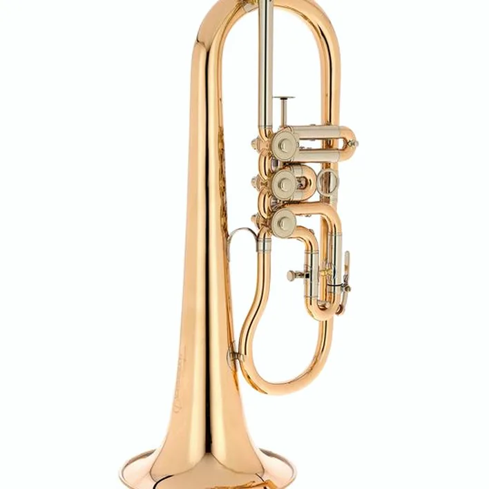 Le bugle Peter Oberrauch Rosengarten Flgh 10,95 L : Avis, Test, Comparatif
