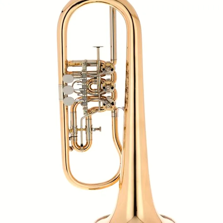 Le bugle Peter Oberrauch Rosengarten Flgh 10,95 L : Avis, Test, Comparatif