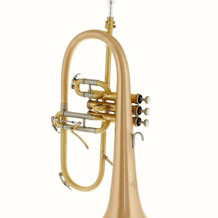 Avis et Test : Thomann FH-1000SL Flugelhorn