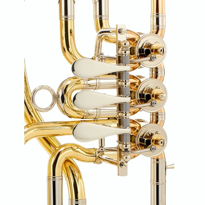 Le cor ténor Miraphone 47WL 0700 Bb-Tenorhorn / Comparatif, Test, Avis