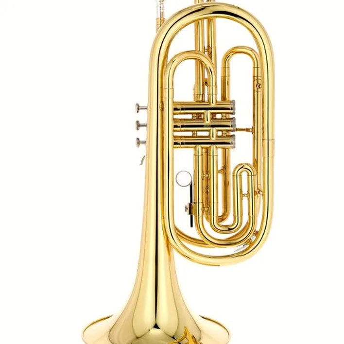 Le cuivre de défilé Thomann MB-30 Bb- Marching Baritone / Test, Comparatif, Avis