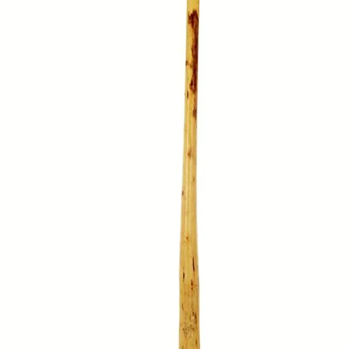 Le didjeridoo Thomann Didgeridoo Eucalyp. Proline D – Test et Avis