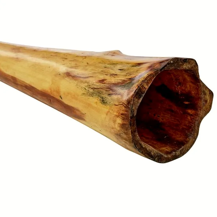 Le didjeridoo Thomann Didgeridoo Eucalyp. Proline E : Test, Avis, Comparatif