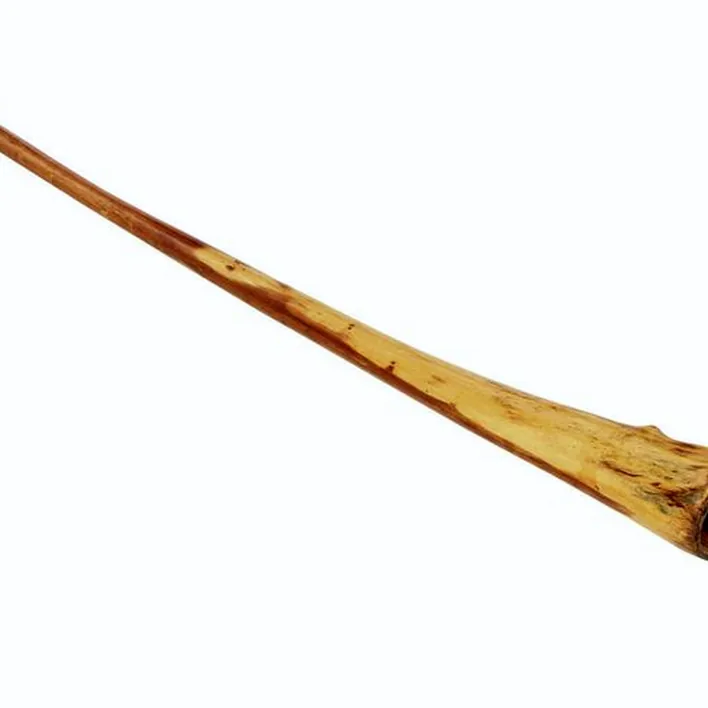 Le didjeridoo Thomann Didgeridoo Eucalyp. Proline E : Test, Avis, Comparatif