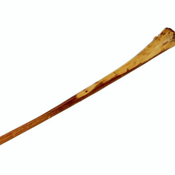 Le didjeridoo Thomann Didgeridoo Eucalyp. Proline E : Test, Avis, Comparatif