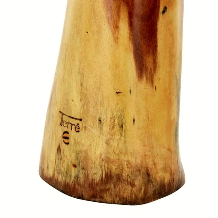 Le didjeridoo Thomann Didgeridoo Eucalyp. Proline E : Test, Avis, Comparatif
