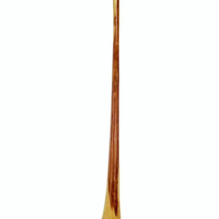 Le didjeridoo Thomann Didgeridoo Eucalyp. Proline E : Test, Avis, Comparatif