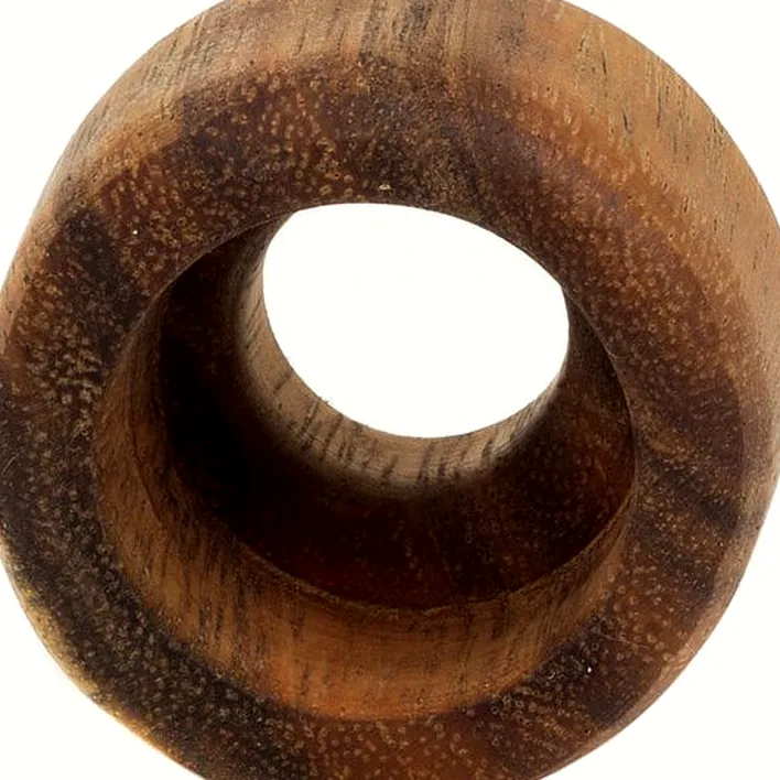 Le didjeridoo Thomann Didgeridoo Mouthpiece Wood, Test et Avis