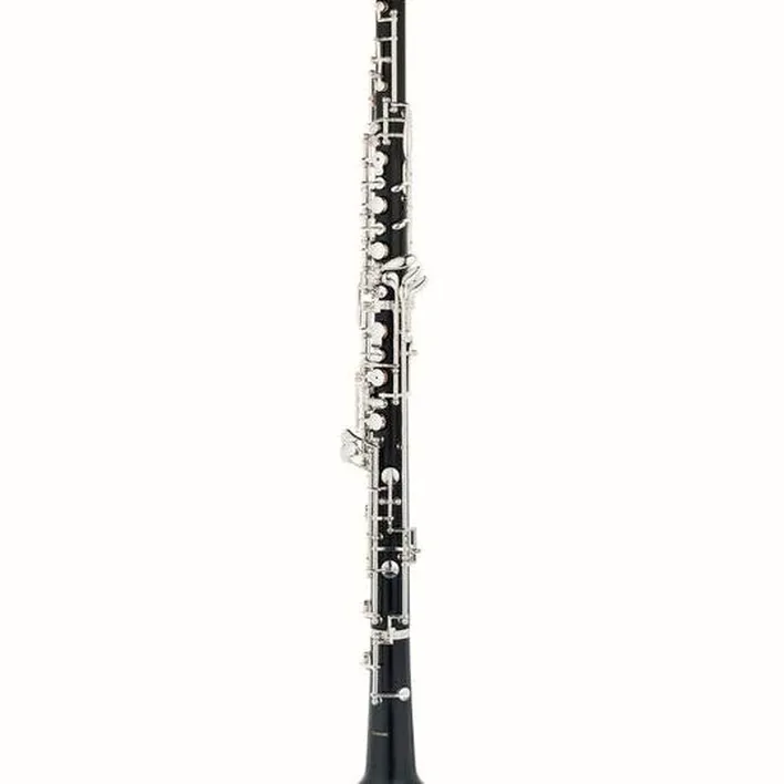 Le hautbois Bulgheroni FB- 091/3 Oboe Avis, Test, Comparatif