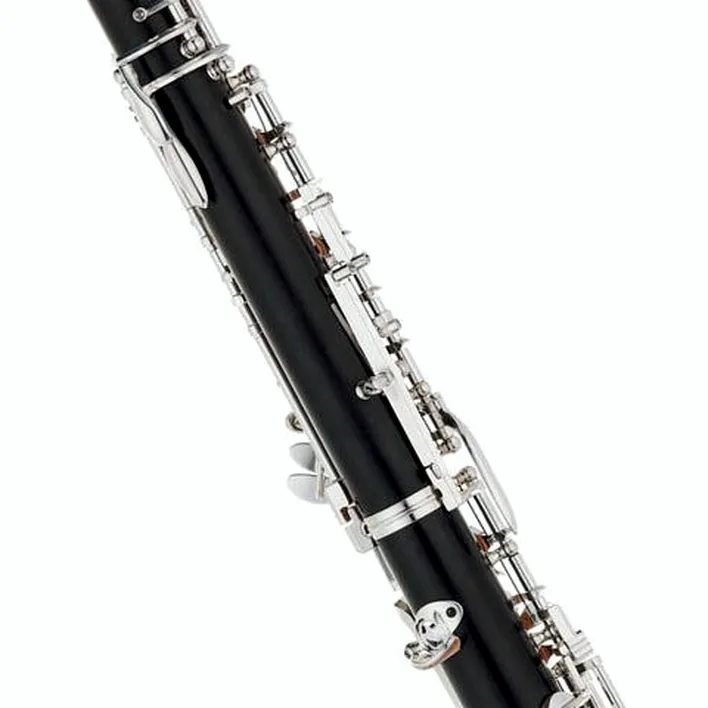 Le hautbois Bulgheroni FB- 091/3 Oboe Avis, Test, Comparatif