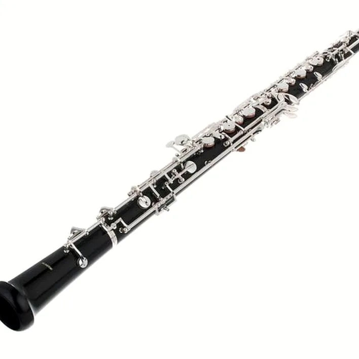 Le hautbois Bulgheroni FB- 091/3 Oboe Avis, Test, Comparatif